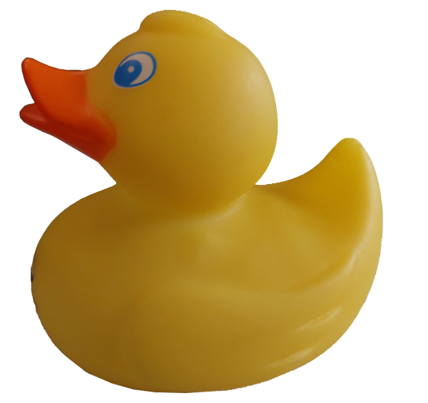Hugh the ducky rubber duck right view